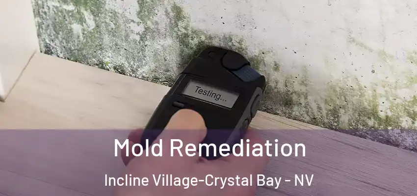 Mold Remediation Incline Village-Crystal Bay - NV