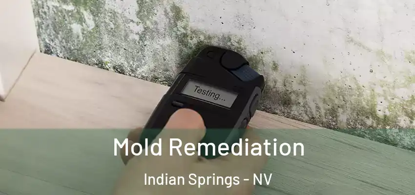  Mold Remediation Indian Springs - NV