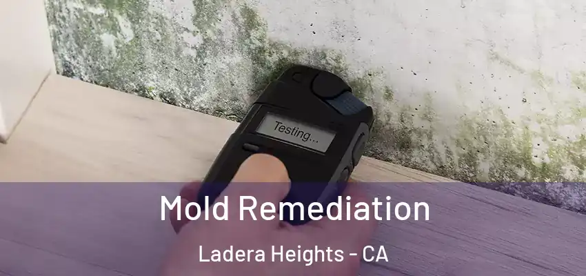  Mold Remediation Ladera Heights - CA