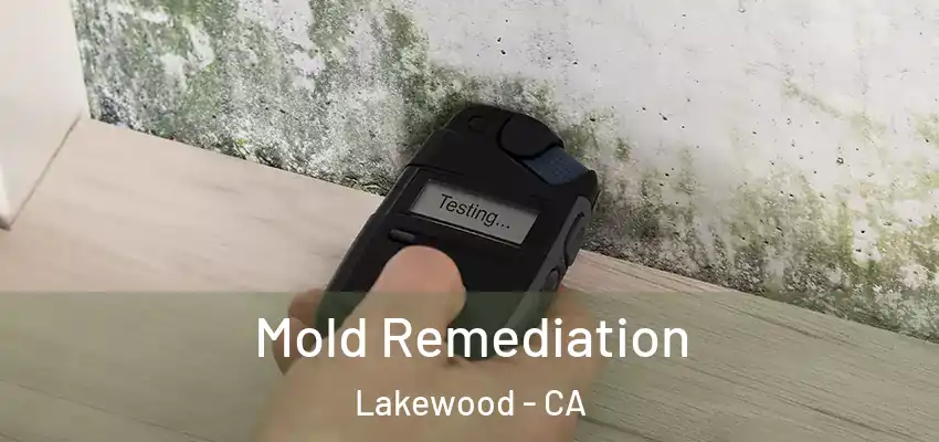  Mold Remediation Lakewood - CA