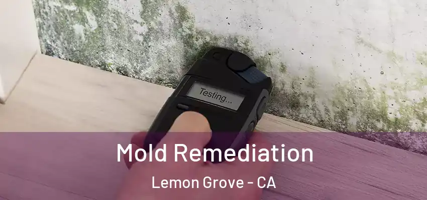  Mold Remediation Lemon Grove - CA