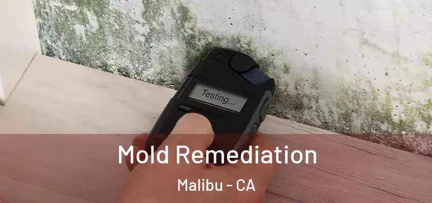  Mold Remediation Malibu - CA