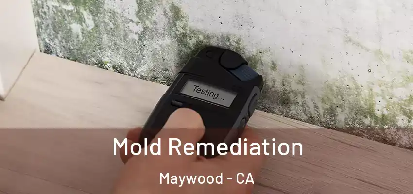  Mold Remediation Maywood - CA