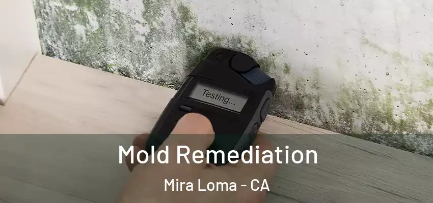 Mold Remediation Mira Loma - CA