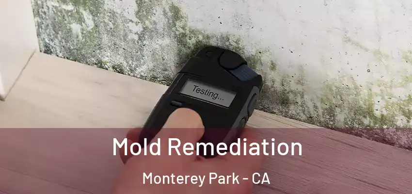  Mold Remediation Monterey Park - CA