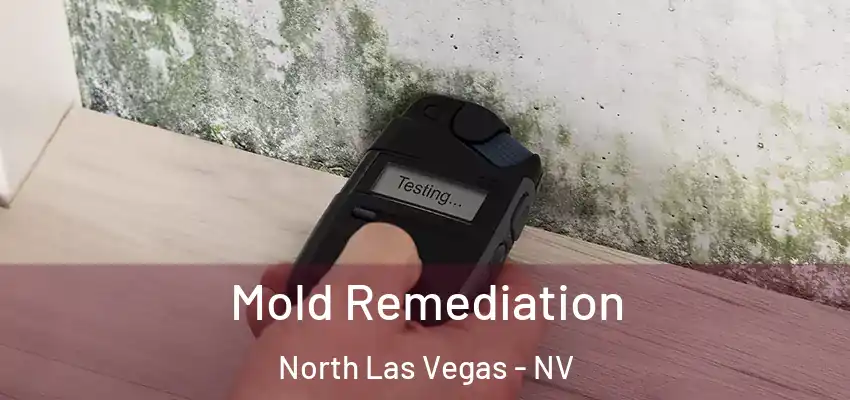  Mold Remediation North Las Vegas - NV