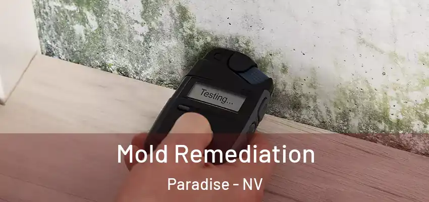  Mold Remediation Paradise - NV