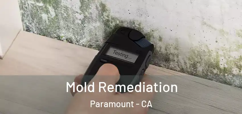 Mold Remediation Paramount - CA