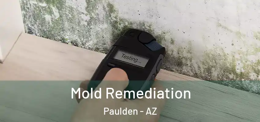 Mold Remediation Paulden - AZ