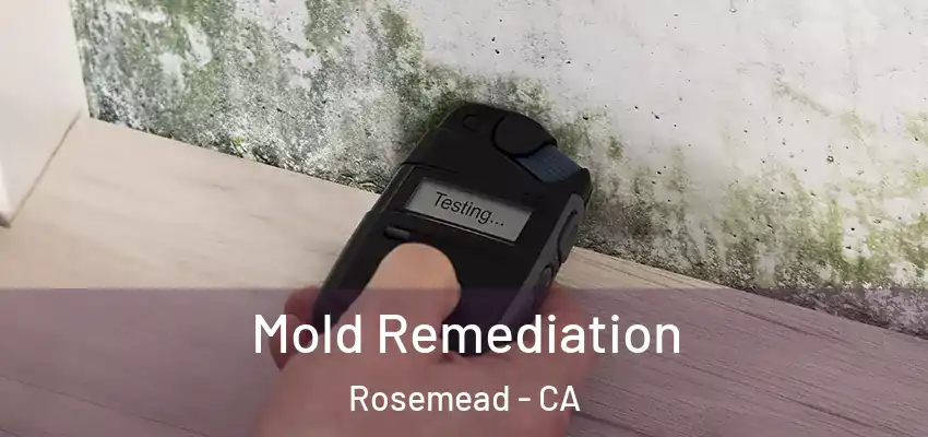  Mold Remediation Rosemead - CA