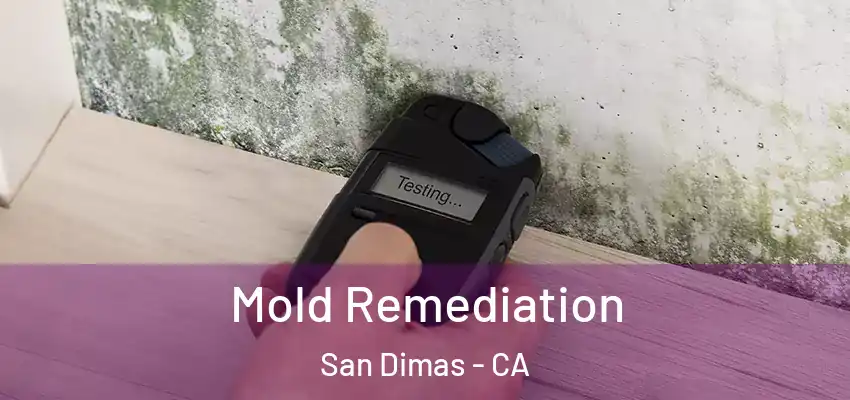  Mold Remediation San Dimas - CA