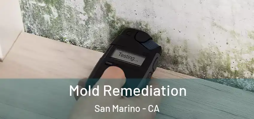  Mold Remediation San Marino - CA