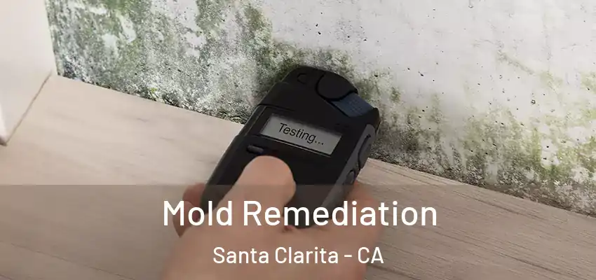 Mold Remediation Santa Clarita - CA