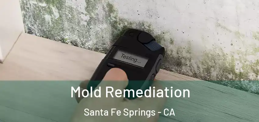 Mold Remediation Santa Fe Springs - CA
