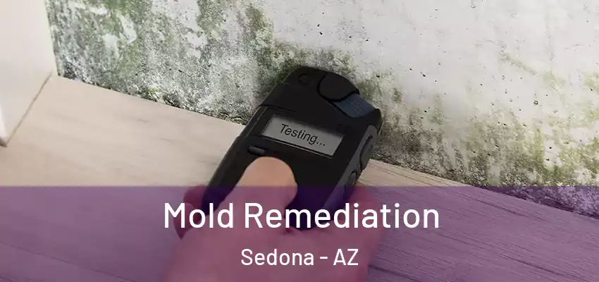  Mold Remediation Sedona - AZ