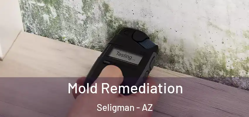 Mold Remediation Seligman - AZ