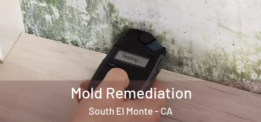  Mold Remediation South El Monte - CA