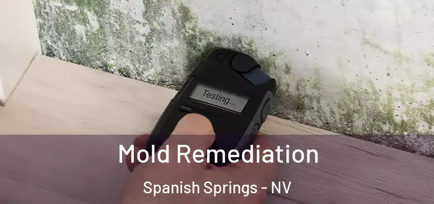 Mold Remediation Spanish Springs - NV