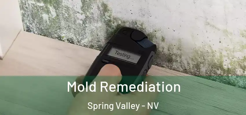 Mold Remediation Spring Valley - NV