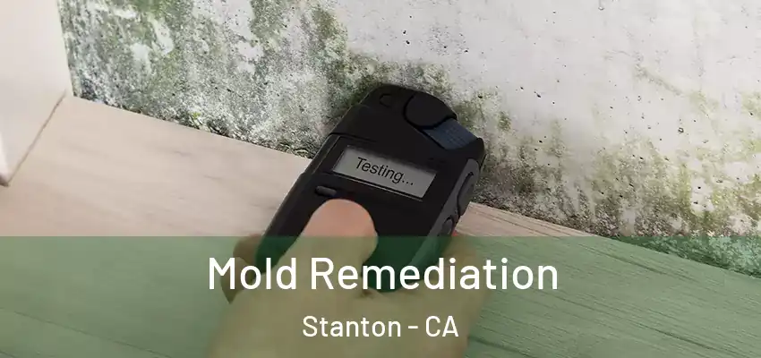 Mold Remediation Stanton - CA
