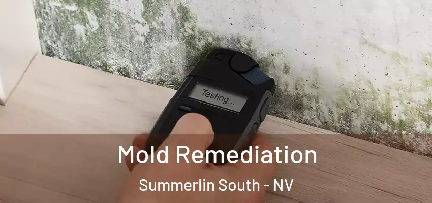  Mold Remediation Summerlin South - NV