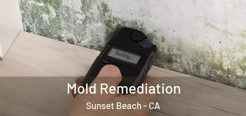  Mold Remediation Sunset Beach - CA