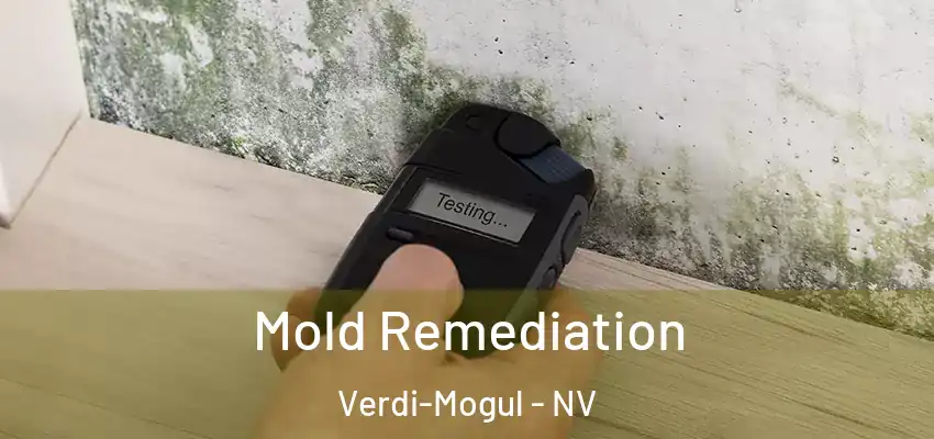 Mold Remediation Verdi-Mogul - NV