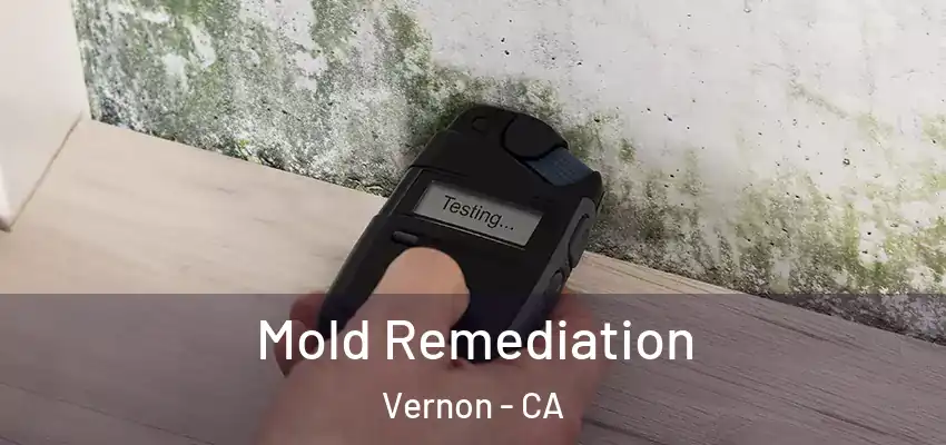  Mold Remediation Vernon - CA