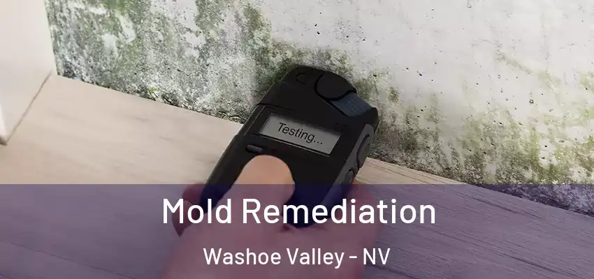 Mold Remediation Washoe Valley - NV