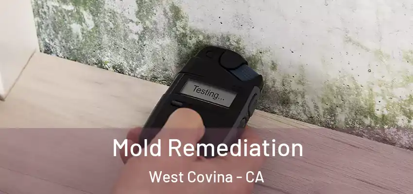  Mold Remediation West Covina - CA