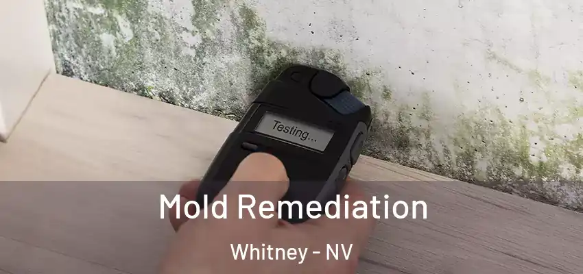  Mold Remediation Whitney - NV