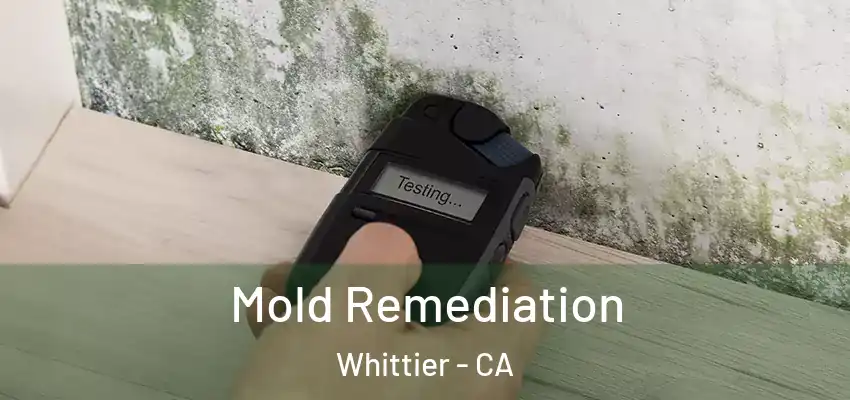 Mold Remediation Whittier - CA