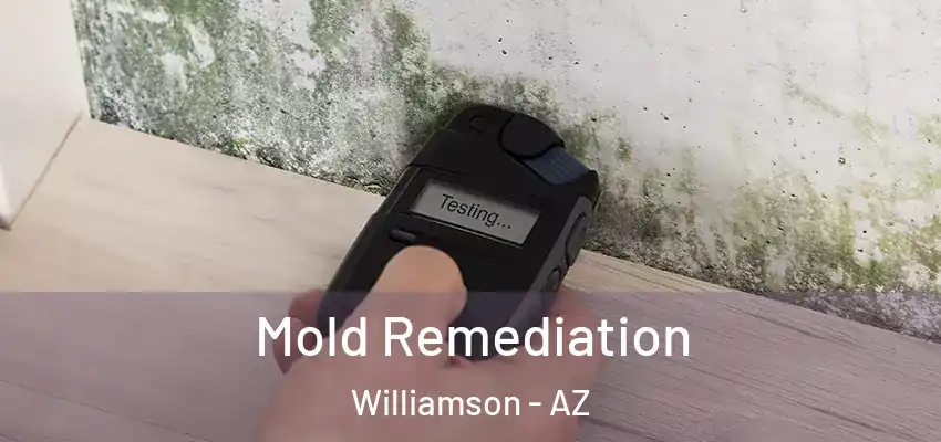  Mold Remediation Williamson - AZ