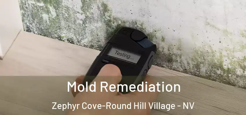 Mold Remediation Zephyr Cove-Round Hill Village - NV