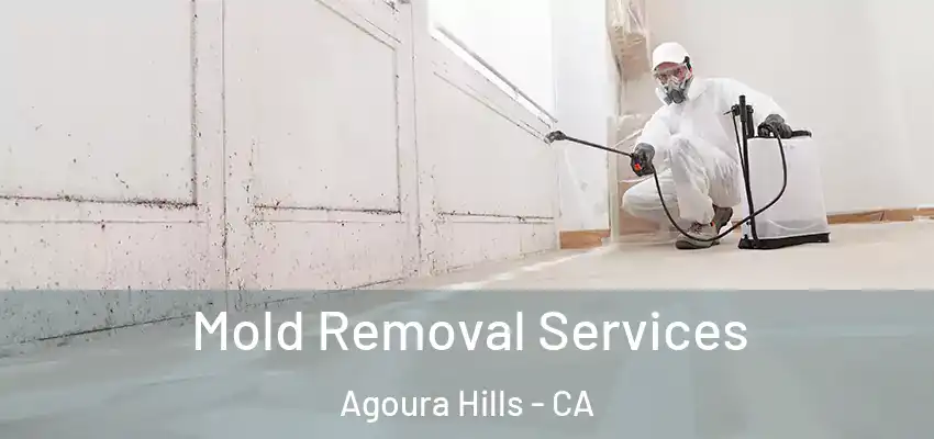  Mold Removal Services Agoura Hills - CA