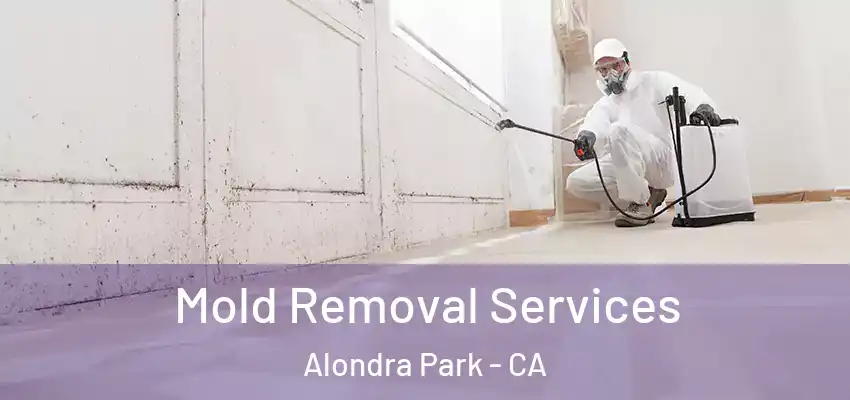  Mold Removal Services Alondra Park - CA