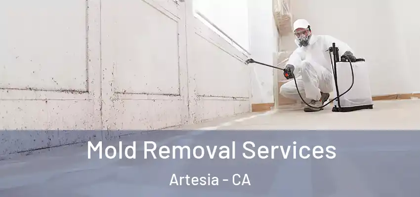 Mold Removal Services Artesia - CA