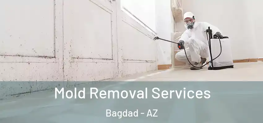  Mold Removal Services Bagdad - AZ