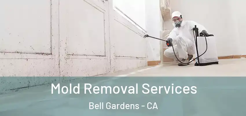 Mold Removal Services Bell Gardens - CA