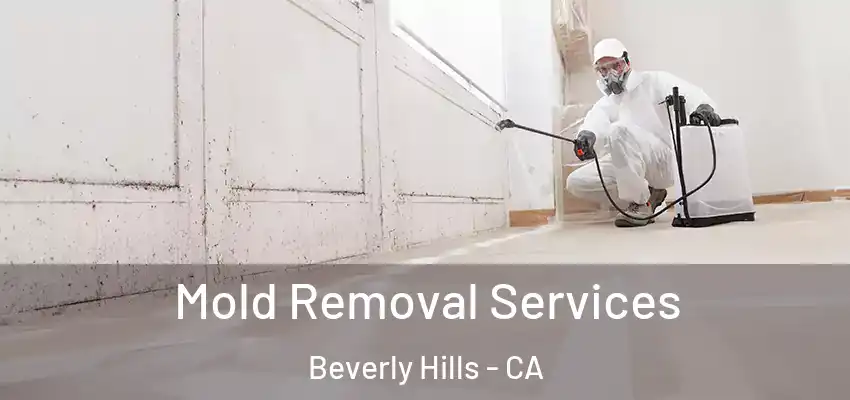  Mold Removal Services Beverly Hills - CA