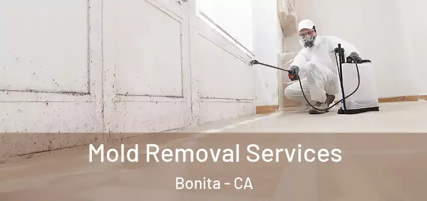 Mold Removal Services Bonita - CA