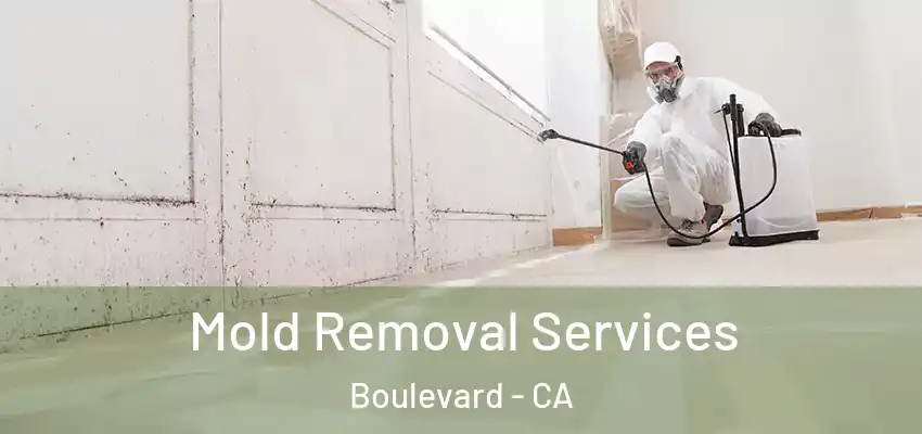  Mold Removal Services Boulevard - CA