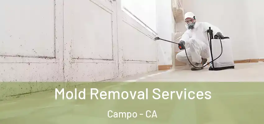  Mold Removal Services Campo - CA