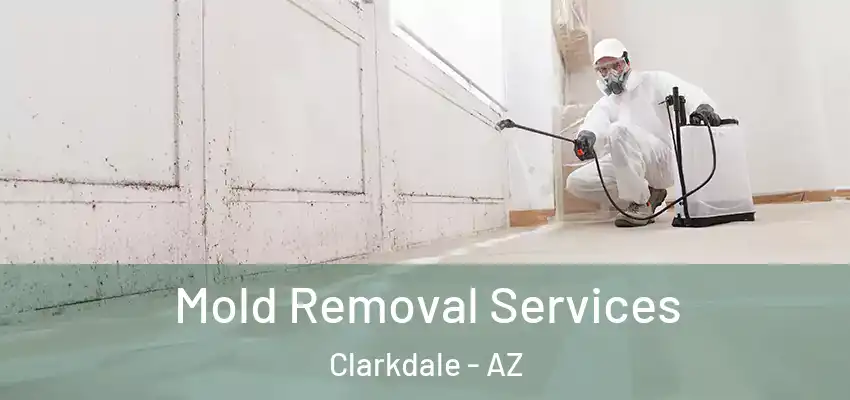 Mold Removal Services Clarkdale - AZ