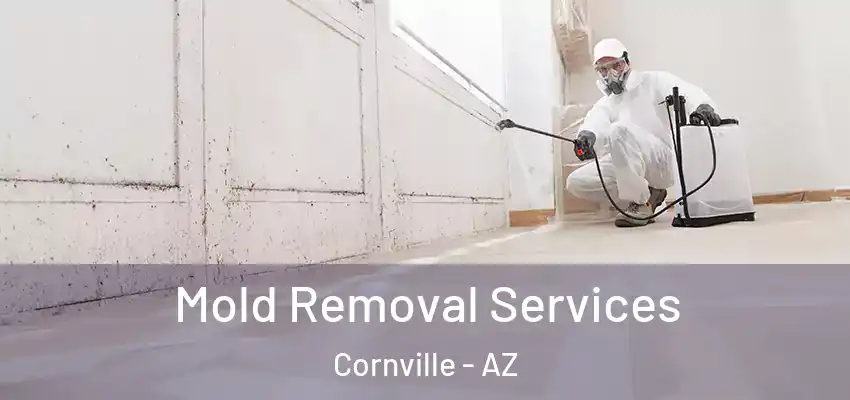  Mold Removal Services Cornville - AZ