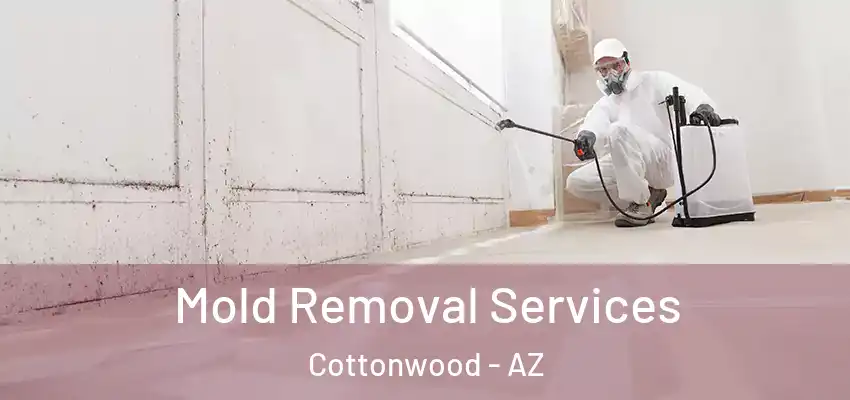  Mold Removal Services Cottonwood - AZ