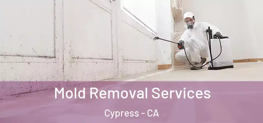  Mold Removal Services Cypress - CA