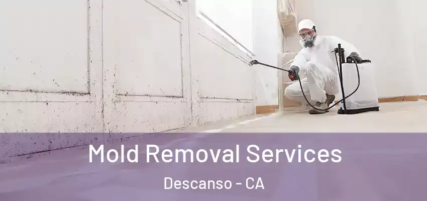  Mold Removal Services Descanso - CA