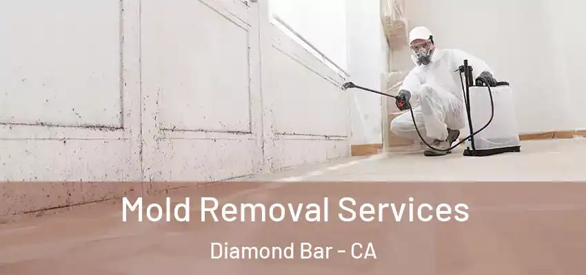  Mold Removal Services Diamond Bar - CA