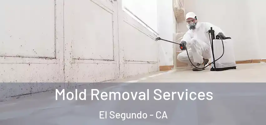  Mold Removal Services El Segundo - CA